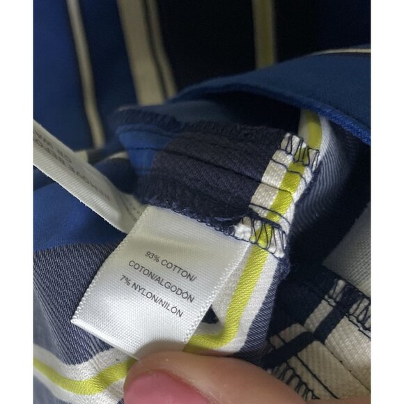 Ann Taylor LOFT women’s green White blue striped flat front shorts 12 L NWT - Picture 3 of 8